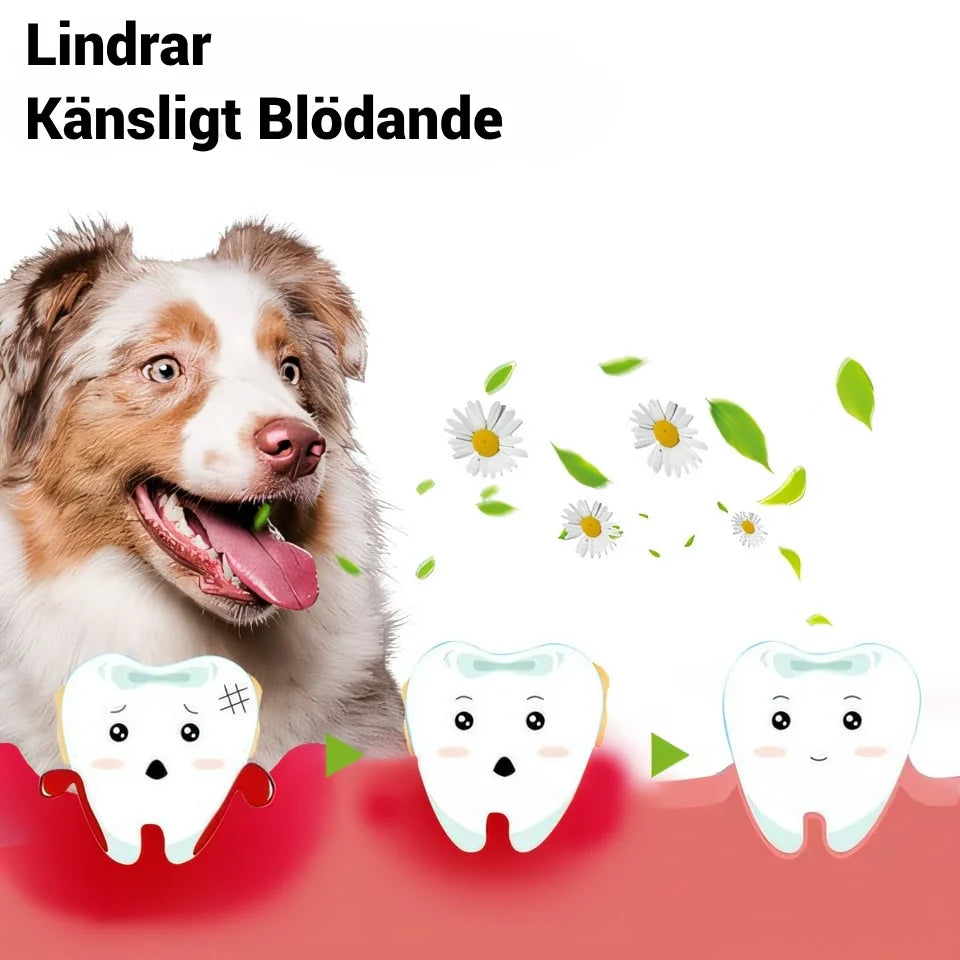 DentiPet