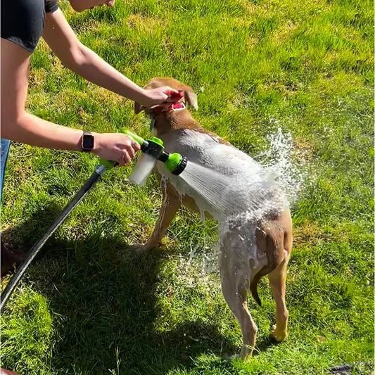 WashBuddy