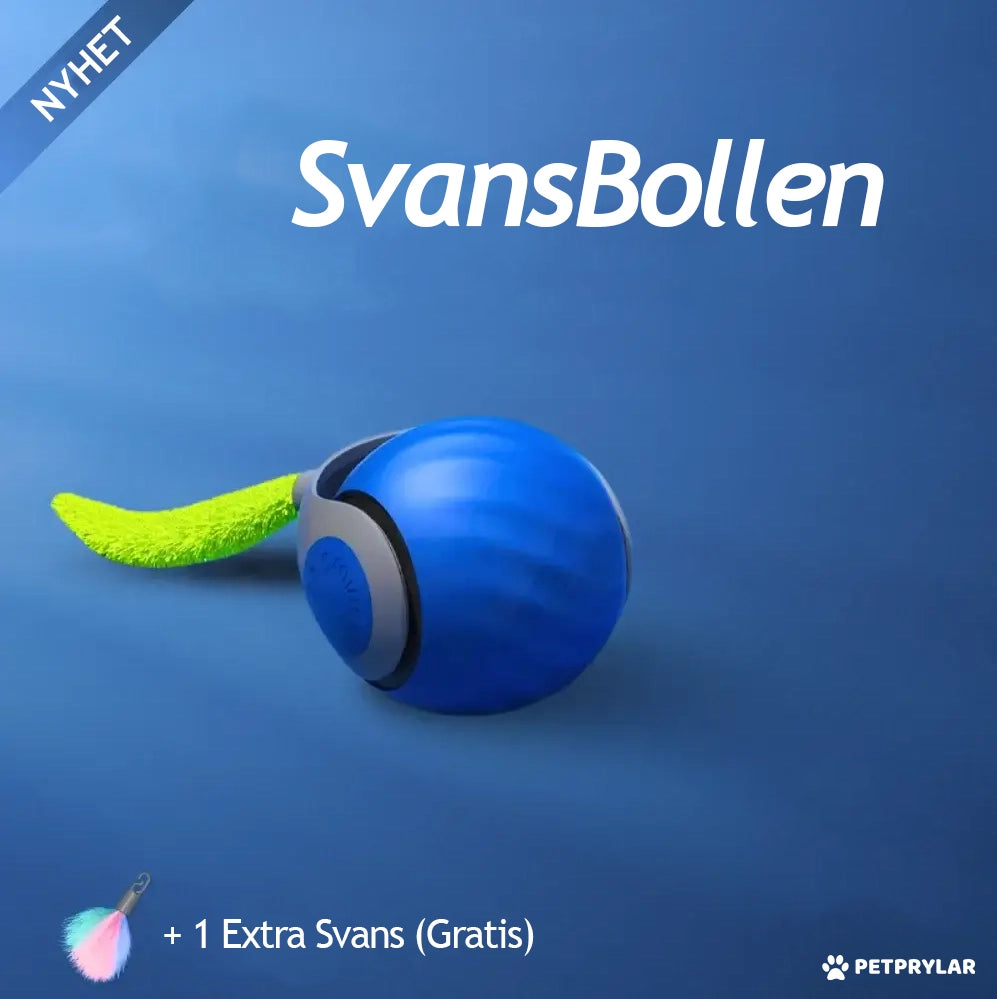 SvansBollen