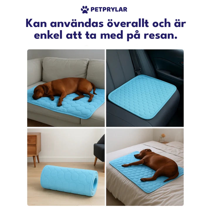 PetPrylar's Kylmatta