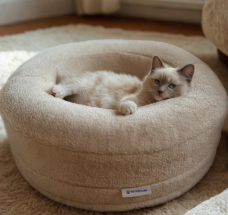 CozyNest