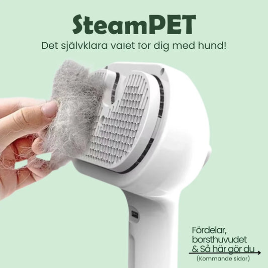 SteamPET