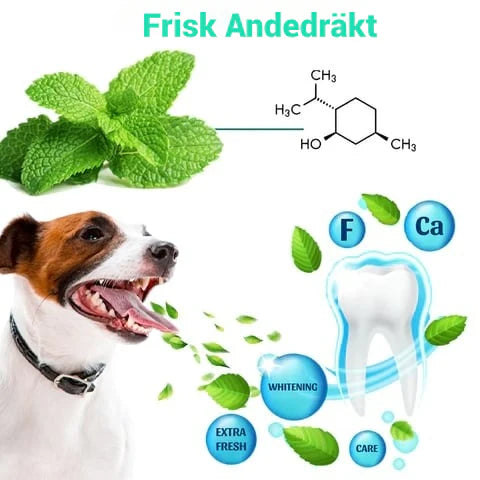 DentiPet