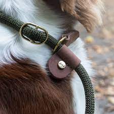 Hundkoppel Torekov Shimmer Green – Denjo Dogs