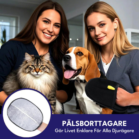 PälsMagneten