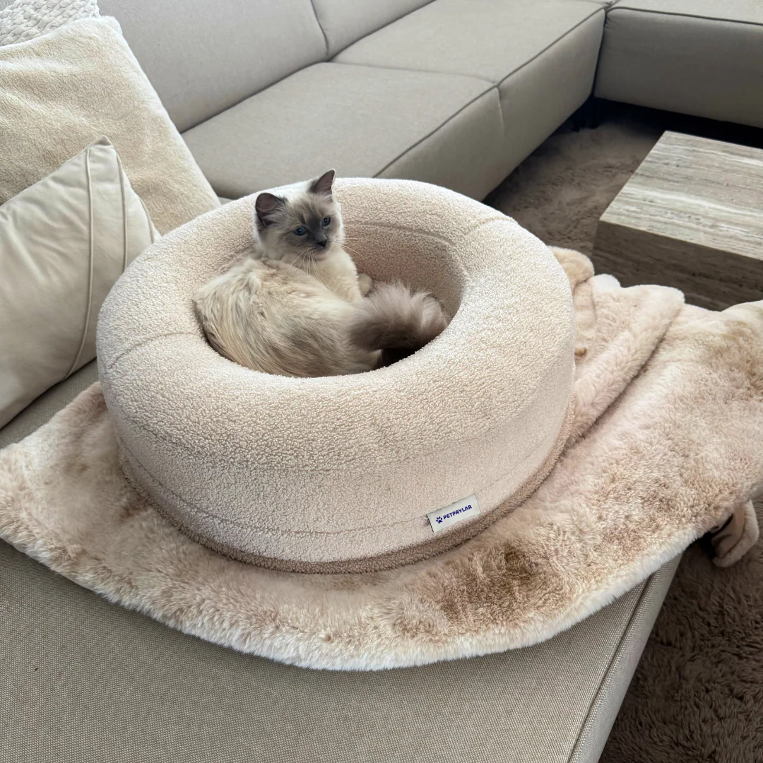 CozyNest