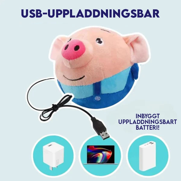 PiggyPlay
