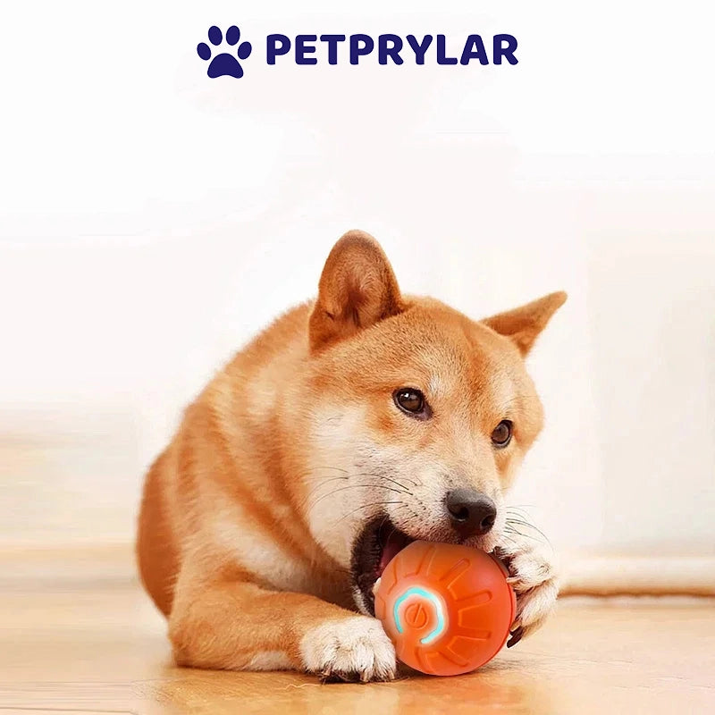 PetPlay Orb